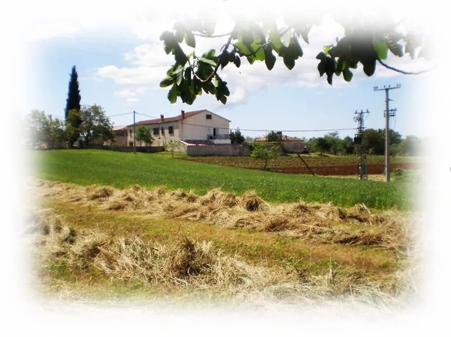 Relaxing House On Countryside In Central Istria Pifari 0*,